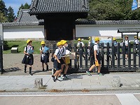 IMG_7114