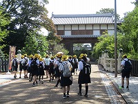 IMG_7116