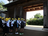 IMG_7117 IMG_7117
