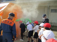 IMG_7331