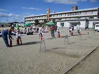 IMG_7333 IMG_7333