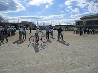 IMG_7342 IMG_7342