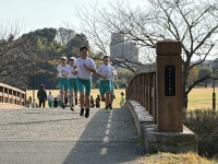 IMG_4602 IMG_4602