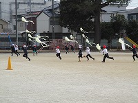 IMG_7874
