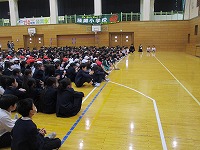 IMG_8035 IMG_8035