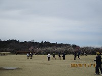 IMG_2211 IMG_2211