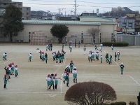 IMG_8246