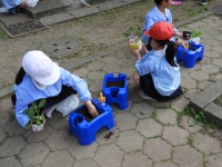 DSCN2349 DSCN2349