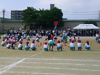 DSCF0697 DSCF0697