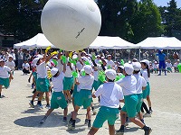 DSCF0728
