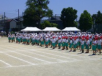 DSCF0737 DSCF0737