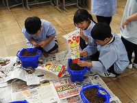 どんどん育ってほしいな どんどん育ってほしいな