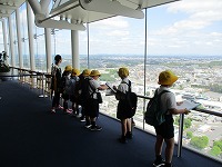 IMG_8416