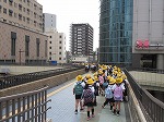 IMG_4084