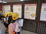 IMG_4110