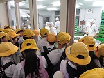 IMG_4121