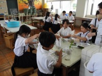DSCN2483 DSCN2483