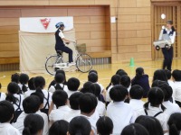 DSCN2611 DSCN2611