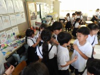 DSCN2766 DSCN2766