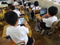 DSCN2784 DSCN2784
