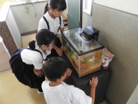 DSCN2855