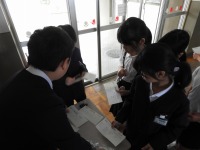 DSCN2991 DSCN2991