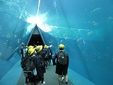 IMG_4569