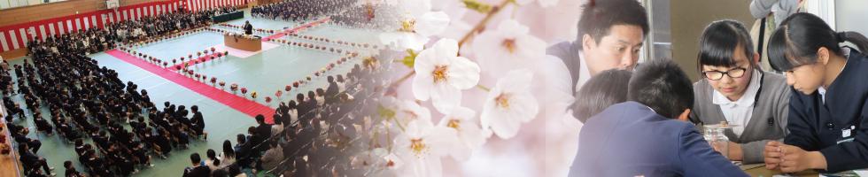 桜の咲くころ