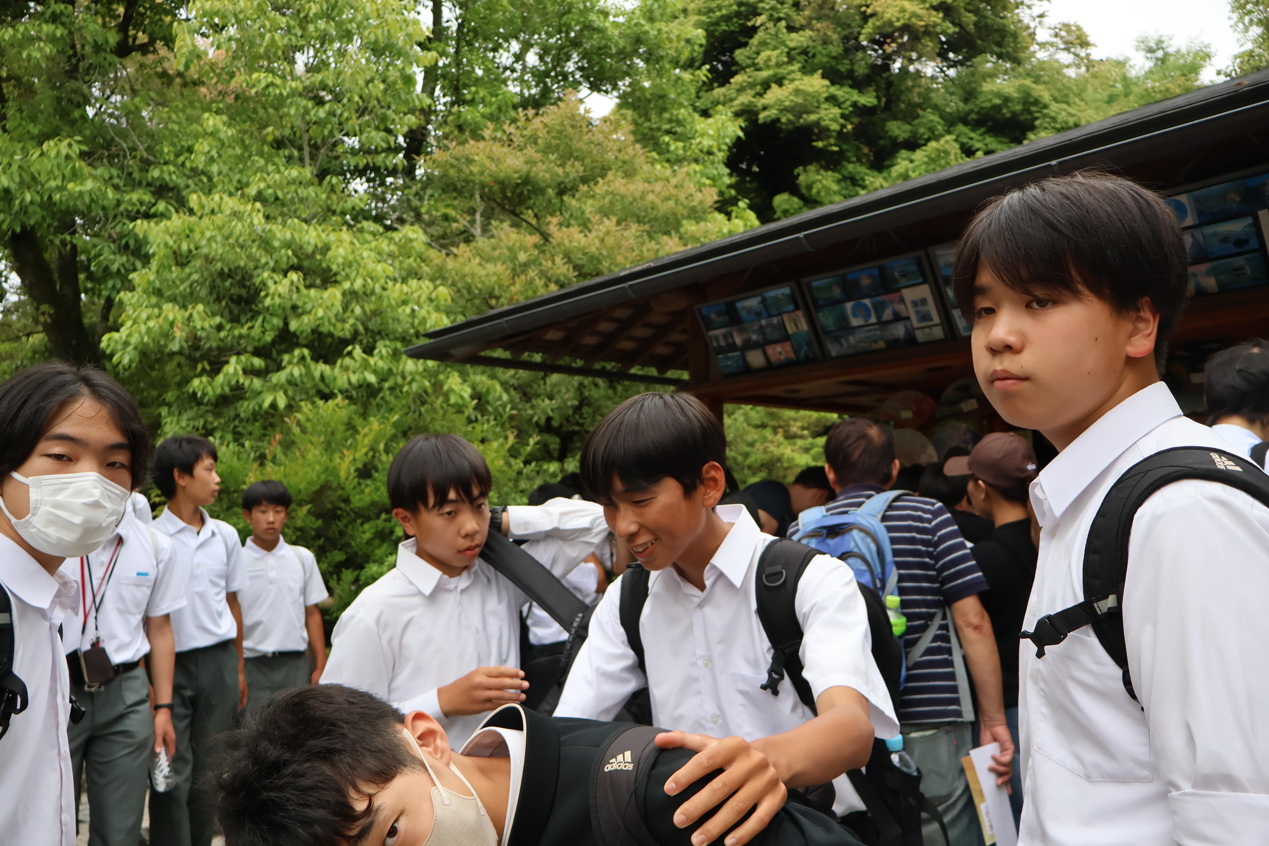 IMG_4546 IMG_4546