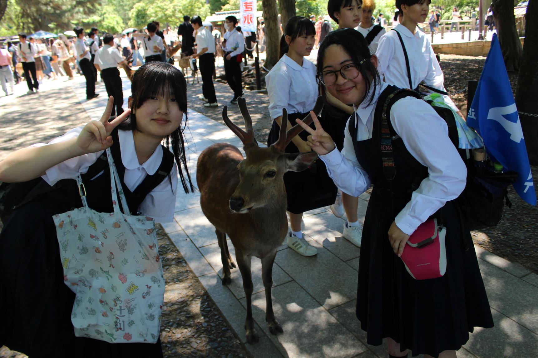 IMG_4625 IMG_4625