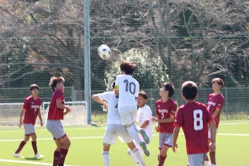 IMG_8175 IMG_8175