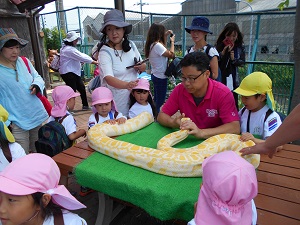 DSCN4389 DSCN4389