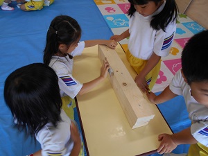 DSCN8113 DSCN8113