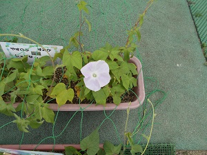DSCN4822