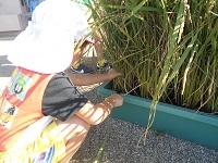 DSCN0492 DSCN0492