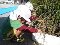 DSCN0493 DSCN0493