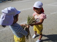 DSCN0504 DSCN0504