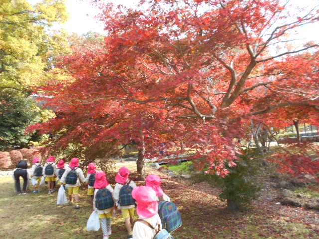 DSCN5659 DSCN5659