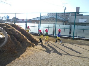 DSCN5953