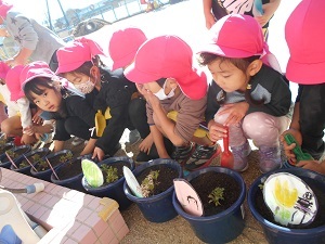 DSCN5973