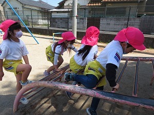IMG_0386 IMG_0386