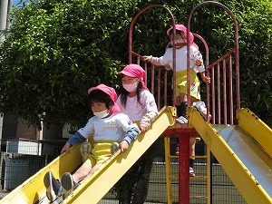 IMG_0390 IMG_0390