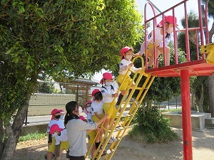 IMG_0401 IMG_0401