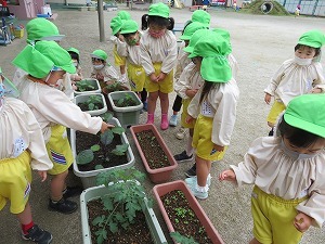 IMG_0563 IMG_0563