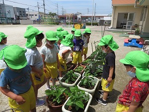 IMG_0811 IMG_0811