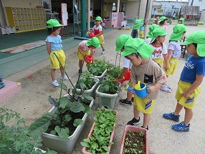 IMG_0816 IMG_0816