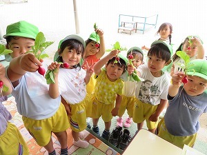 IMG_0903 IMG_0903