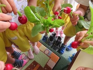 IMG_0905 IMG_0905
