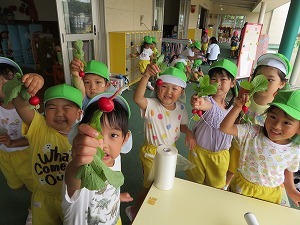 IMG_0906 IMG_0906