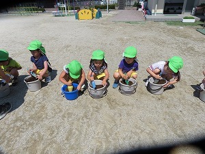 IMG_0912 IMG_0912